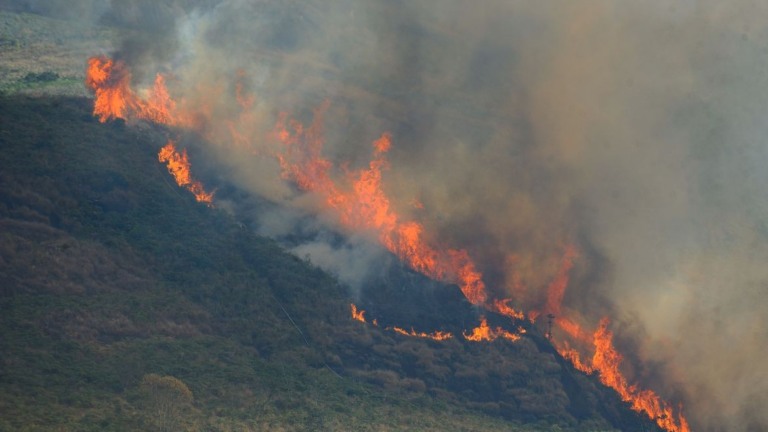 Mata em chamas em Itaipava devido a sucessivos incêndios florestais de grandes proporções na Região Serrana (Fernando Frazão/Agência Brasil)
