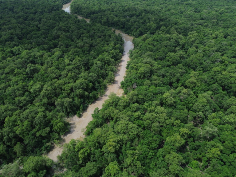 Bragança (PA), 12/06/2025 – Vista de um braço do Rio Caeté em área de manguezal na Reserva Extrativista Marinha de Caeté-Taperaçu monitorada pelo projeto Mangues da Amazônia. Foto: Fernando Frazão/Agência Brasil