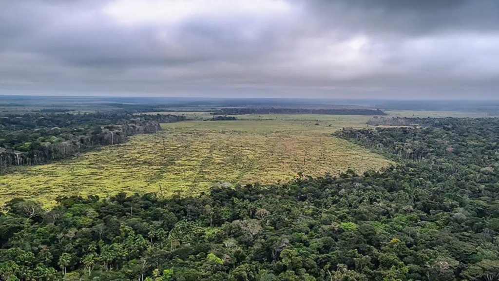 PF deflagra duas operações contra desmatamento e lavagem de dinheiro na Amazônia, em 29 de agosto de 2023 (Foto Divulgação Polícia Federal)