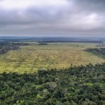 PF deflagra duas operações contra desmatamento e lavagem de dinheiro na Amazônia, em 29 de agosto de 2023 (Foto Divulgação Polícia Federal)