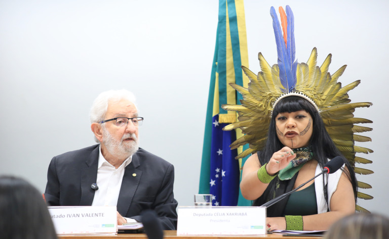 07/10/2025. Audiência da campanha Amazônia livre de combustíveis fósseis na Câmara dos Deputados, com Ivan Valente e Célia Xakriabá (Michel Jesus, Câmara dos Deputados)