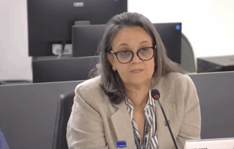 Licença para Foz do Amazonas é marco não só para indústria do petróleo, mas para setor ambiental, diz Symone