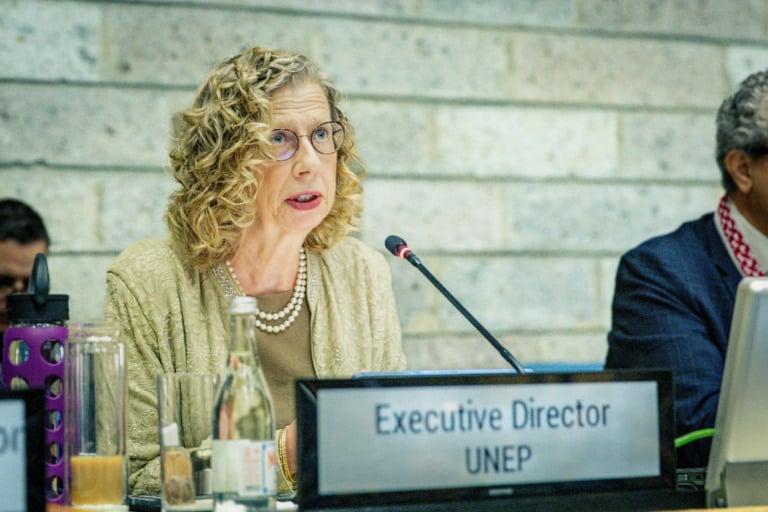 Novas promessas climáticas contribuem pouco para reverter crise climática, alerta agência da ONU (Foto: Pnuma)