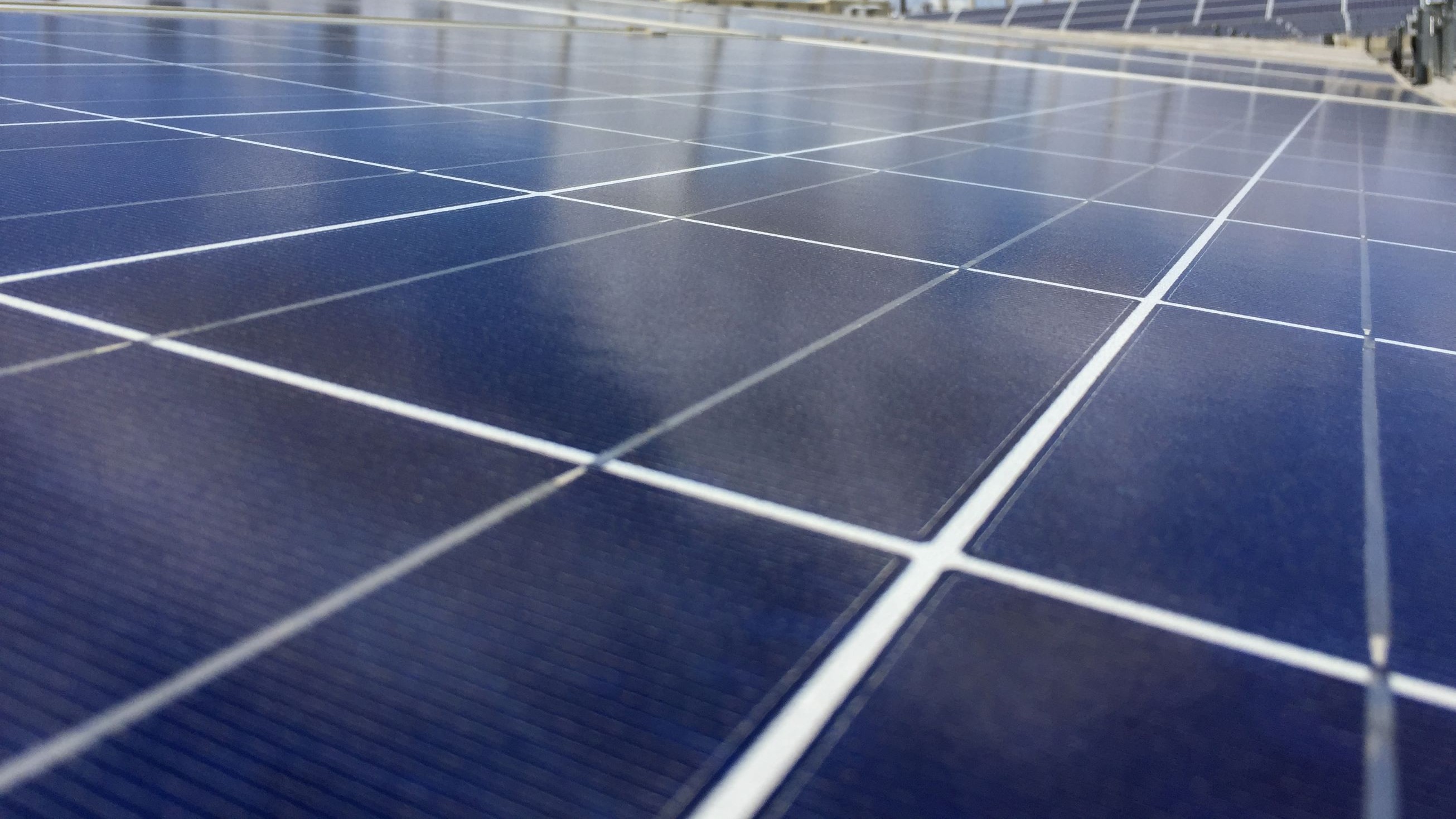 Petrobras compra participação minoritária em braço de renováveis da bp no Brasil