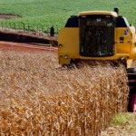 Colheitadeira em lavoura de milho, no munic&iacute;pio de Iju&iacute;/RS (Foto Claudio Fachel/Pal&aacute;cio Piratini)
