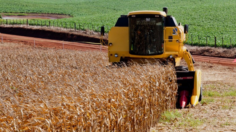 Colheitadeira em lavoura de milho, no município de Ijuí/RS (Foto Claudio Fachel/Palácio Piratini)