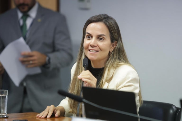 07-04-2026-Roberta Cox, diretora presidente da Coalizão Eólica Marinha (CEM) participa de audiência pública no Senado. Foto: Divulgação CEM